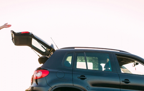 ASIGURAREA DE CALATORIE